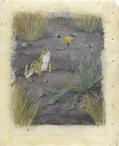 Frog By A Dandelion With Flies