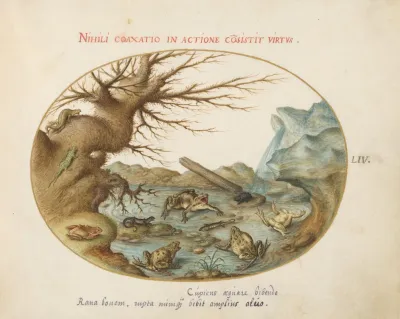 Frogs Lizards And Salamanders In A Landscape