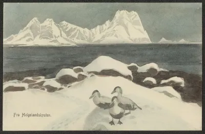 From The Helgeland Coast
