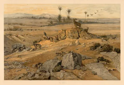 From The Sahara