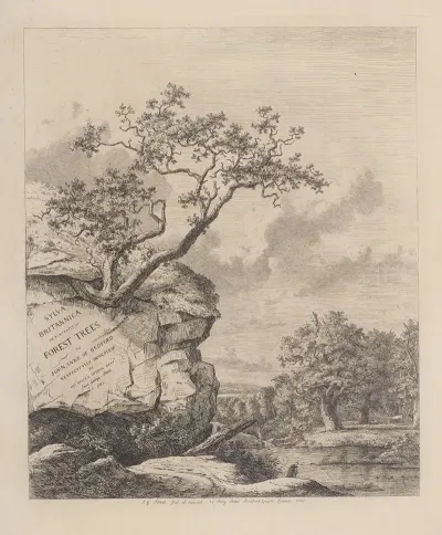 Frontispiece 9