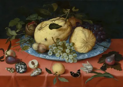 Fruit Still Life With Shells And Tulip