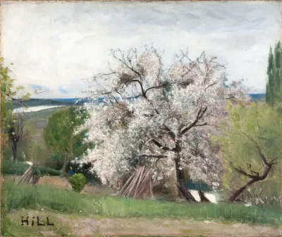 Fruit Tree In Blossom Bois Le Roi