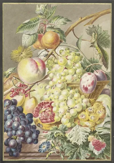 Fruitstuk