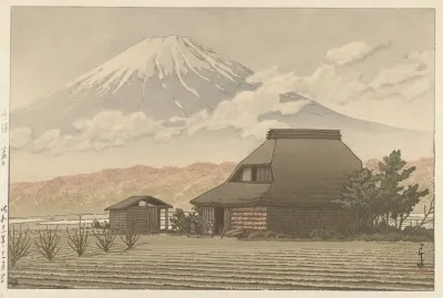 Fuji Vanaf Het Dorp Narusawa