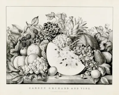 Garden Orchard And Vine