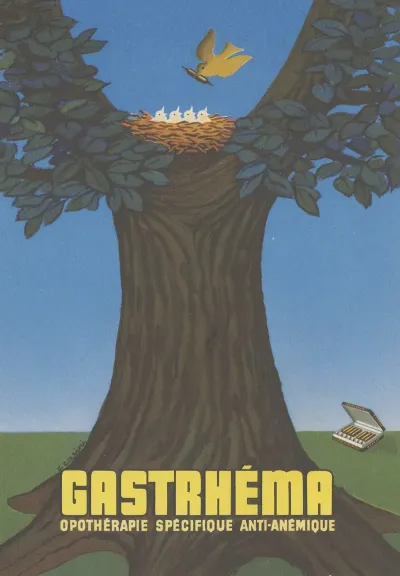 Gastrhema 6