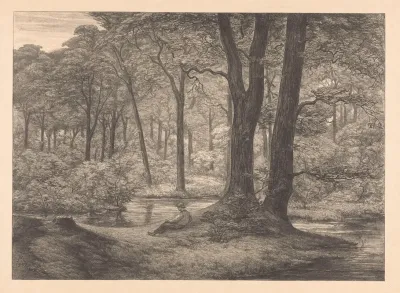 Gezicht Op De Hunnenschans Op De Veluwe De Hunnenschans