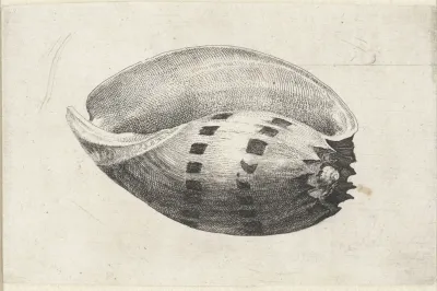 Giant Baler Melo Amphora