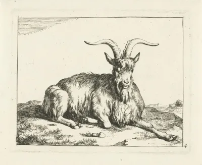 Goat Lying Down With Front Leg Stretched Out