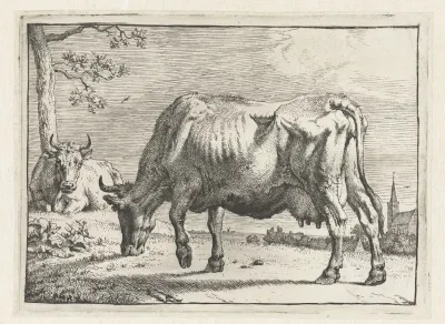 Grazing Cow 3