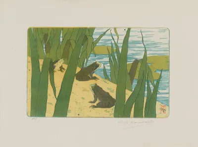 Grenouilles Et Roseaux