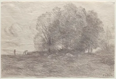 Group Of Trees 2