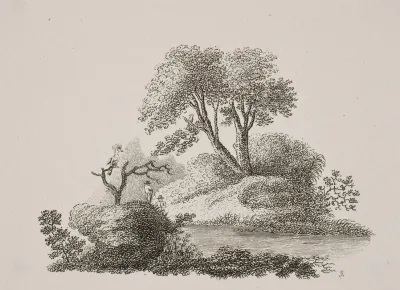 Haerfuglen Og Nattergalen