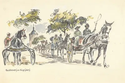 Harddraverij En Ringrijderij In Historische Koetsjes