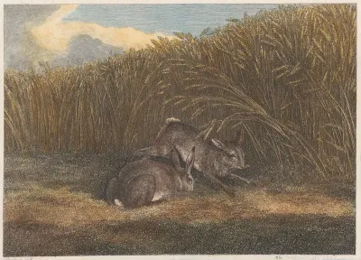 Hares Feeding