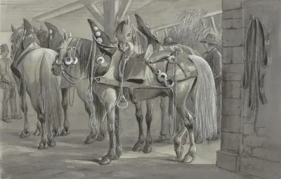 Harnessed Horses