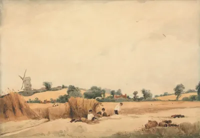 Harvesting 6