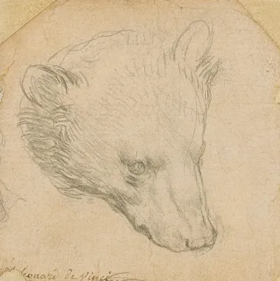 Head Of A Bear