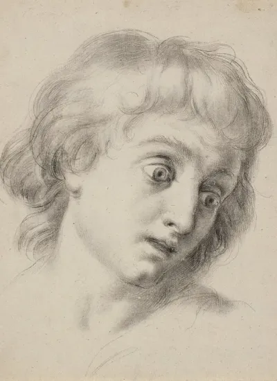 Head Of A Boy