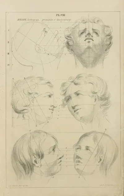 Heads Looking Up Principles Of Foreshortening