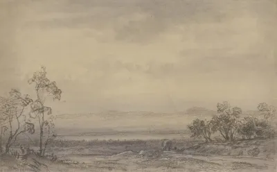 Heath Landscape