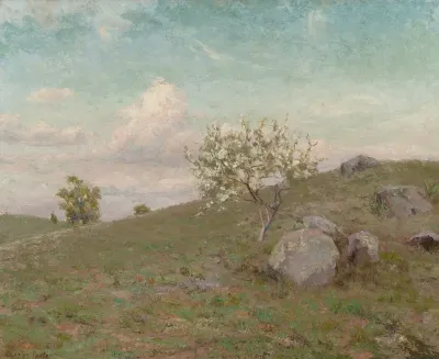Hillside Landscape