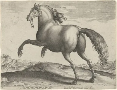 Hispanus