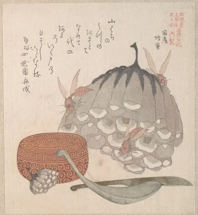 Hives With Wasps And A Box With A Spoon For Honey