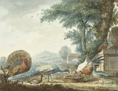 Hoenderhof