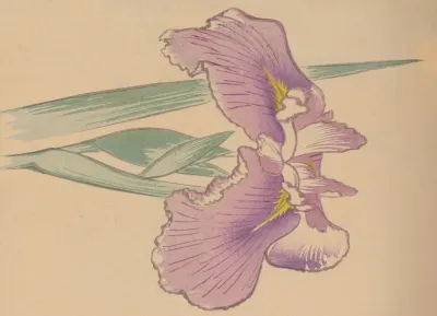 Hogajo Pl 08