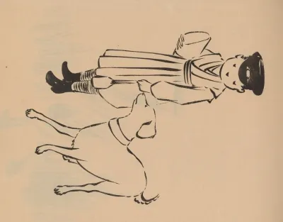 Hogajo Pl 16