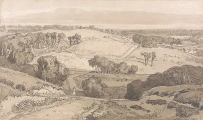 Holt Heath Near Norwich