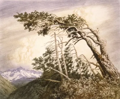 Home Of The Winds No 2