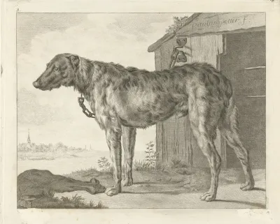 Hond 2