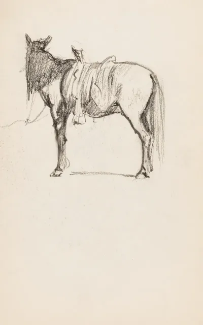Horse 9