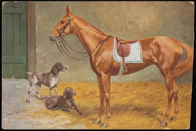Horse And Dogs