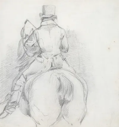 Horse And Rider Seen From The Rear