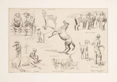 Horse Raising In The Northwest