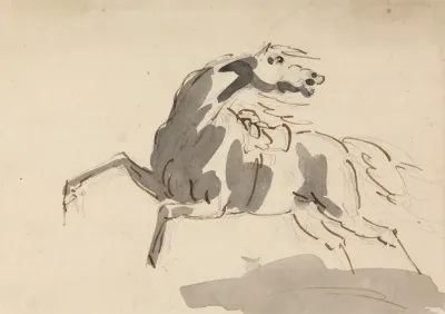 Horse Running Towards Left