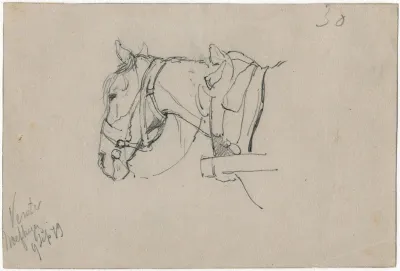 Horse With Harnes