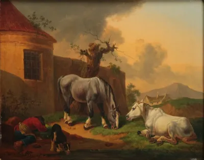 Horses 6