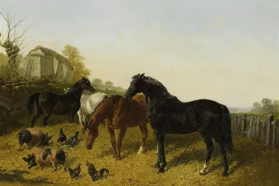 Horses And Chickens