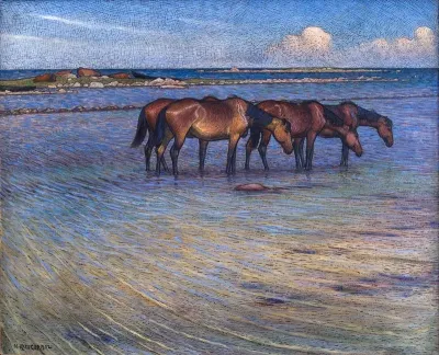Horses Cooling Themselves In Water