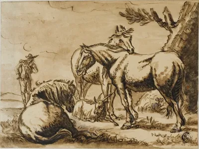 Horses Goat And A Man
