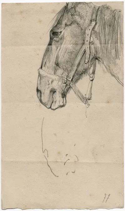 Horses Head 5