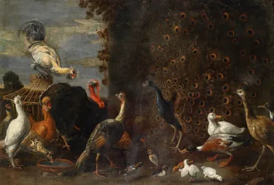 Huhnerhof Mit Pfau Truthahn Und Enten
