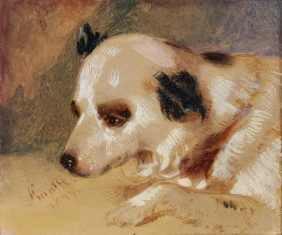 Hundekopf