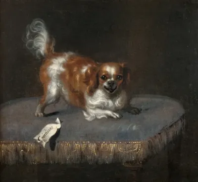 Hunden Courtisane
