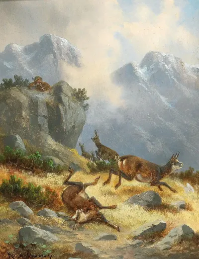 Hunting Chamois